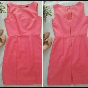 Tahari coral sleeveless sheath dress 4P
